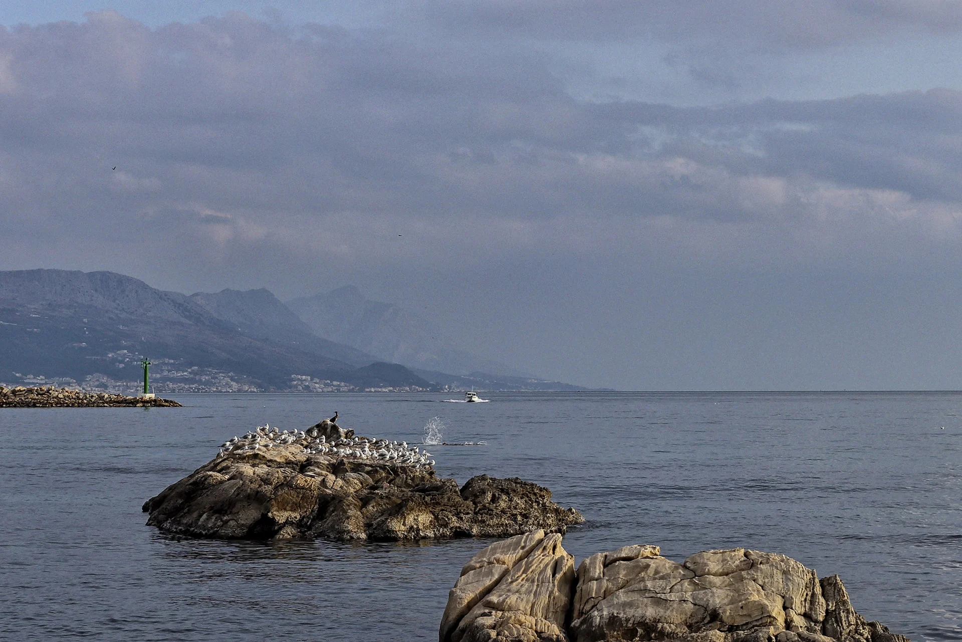 Shorelines