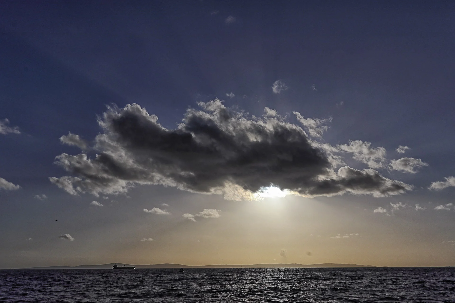 Shorelines